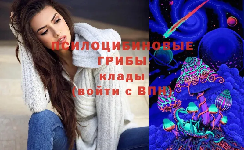 блэк спрут сайт  Балтийск  Псилоцибиновые грибы Cubensis 